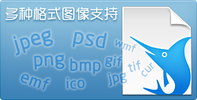 Dorado标注工具 V1.1绿色版