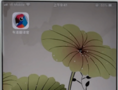 有道翻译官中怎么更换语音 有道翻译官中更换语音的方法