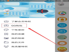 QQ钱包怎么查看积分？QQ钱包查看积分的方法