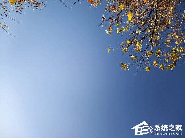 Galaxy A8s好不好？三星A8s全面评测