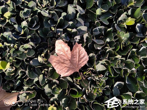 联想Z5s好不好？联想Z5s手机体验评测