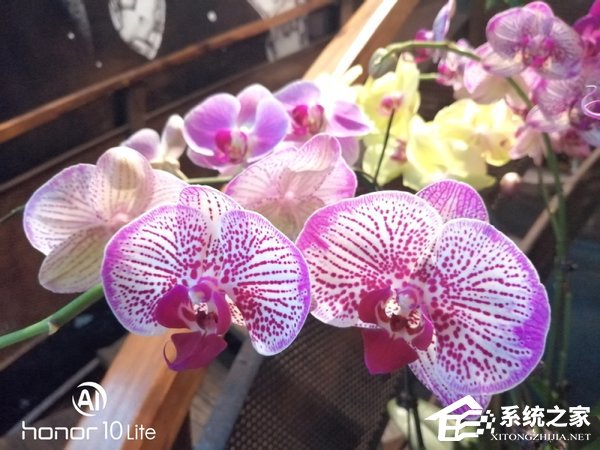荣耀10青春版手机好用吗？荣耀10青春版手机全面评测