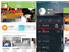 握爪宠物app如何添加宠物？握爪宠物app添加宠物的方法