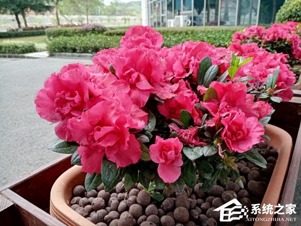 荣耀畅玩8A手机怎么样?荣耀畅玩8A手机全面评测