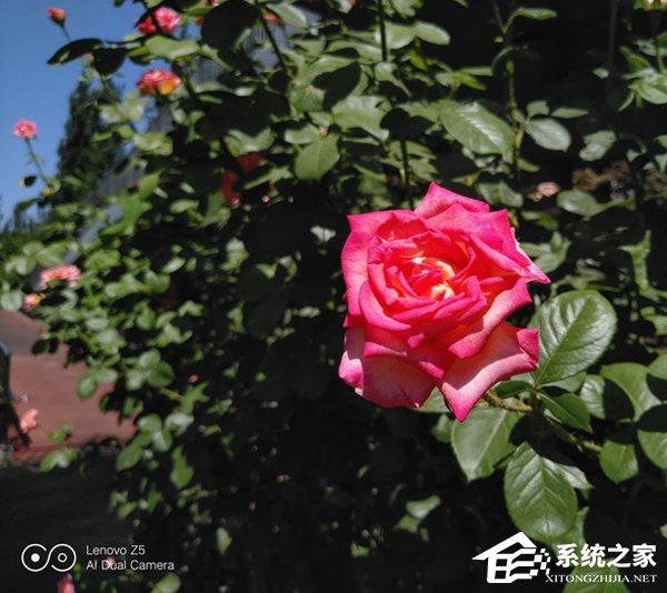 联想Z5手机值得买吗？联想Z5手机全面评测
