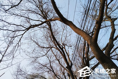 红米7好用吗？Redmi 7手机体验评测