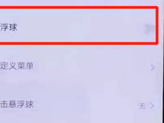 iqoo手机中怎么设置悬浮球？iqoo手机设置悬浮球的方法