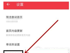 有道词典怎么设置自动查词？有道词典设置自动查词的方法
