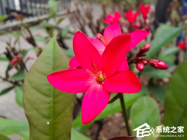 vivo X27值得买吗?vivo X27手机评测