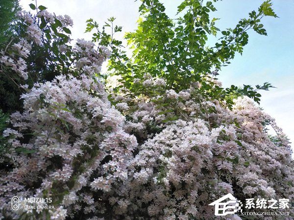 魅族16s值得购买吗？魅族16s手机体验评测