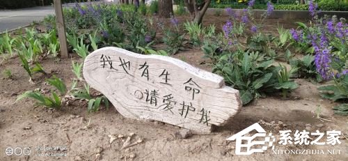 vivo S1 Pro好不好？vivo S1 Pro手机评测