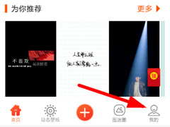 壁纸精灵的动态壁纸没声音怎么办？