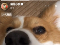 多闪APP怎么下载视频？多闪APP下载视频的方法