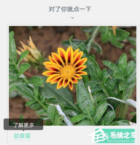 形色app怎么用?形色app使用方法