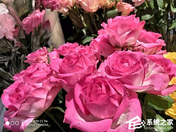 小米CC9e拍照好用吗?小米CC9e手机相机评测