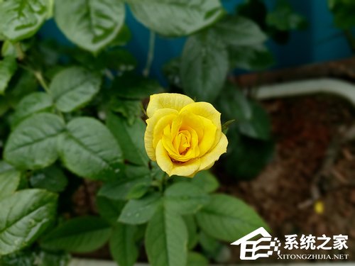 三星A80怎么样？三星Galaxy A80手机评测