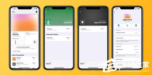 国外网友上手苹果Apple Card信用卡