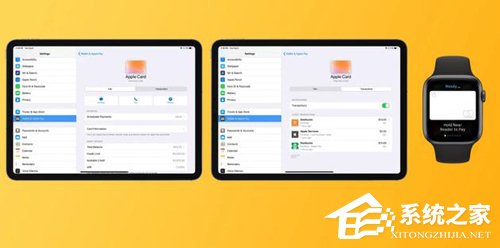 国外网友上手苹果Apple Card信用卡