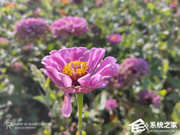realme Q好用吗？realme Q真机上手评测