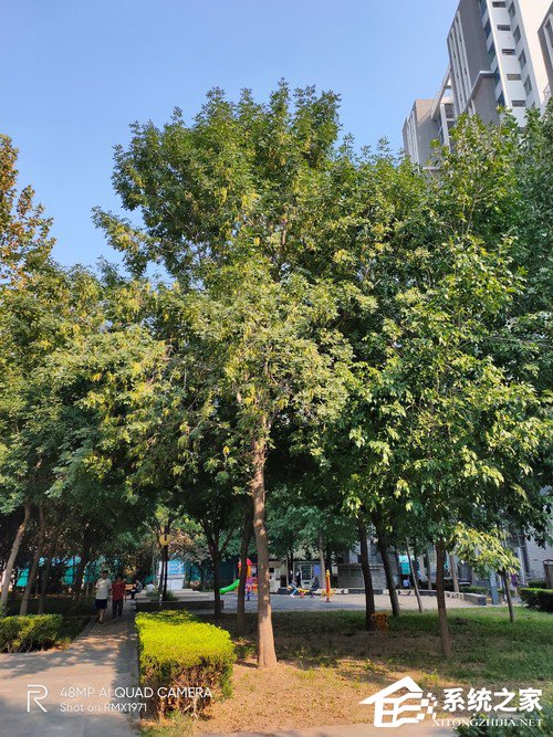 realme Q好不好？