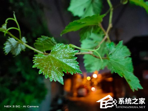 vivo NEX 3 5G版怎么样？