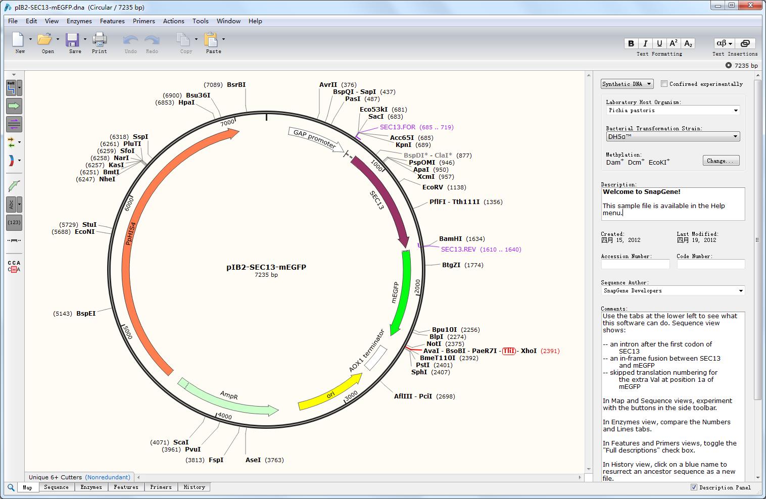 GSL Biotech SnapGene