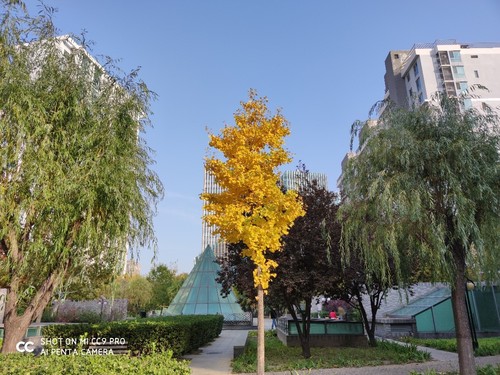 小米CC9 Pro好不好？
