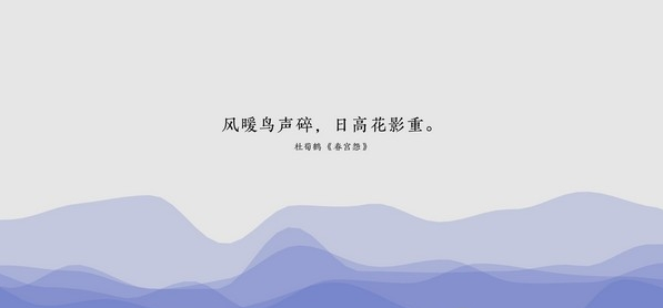 几枝Chrome插件
