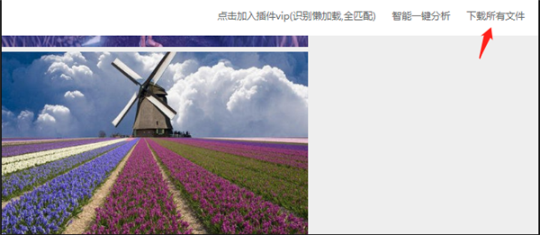 图流看图