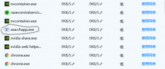 searchapp.exe是什么？searchapp.exe进程是干什么的？