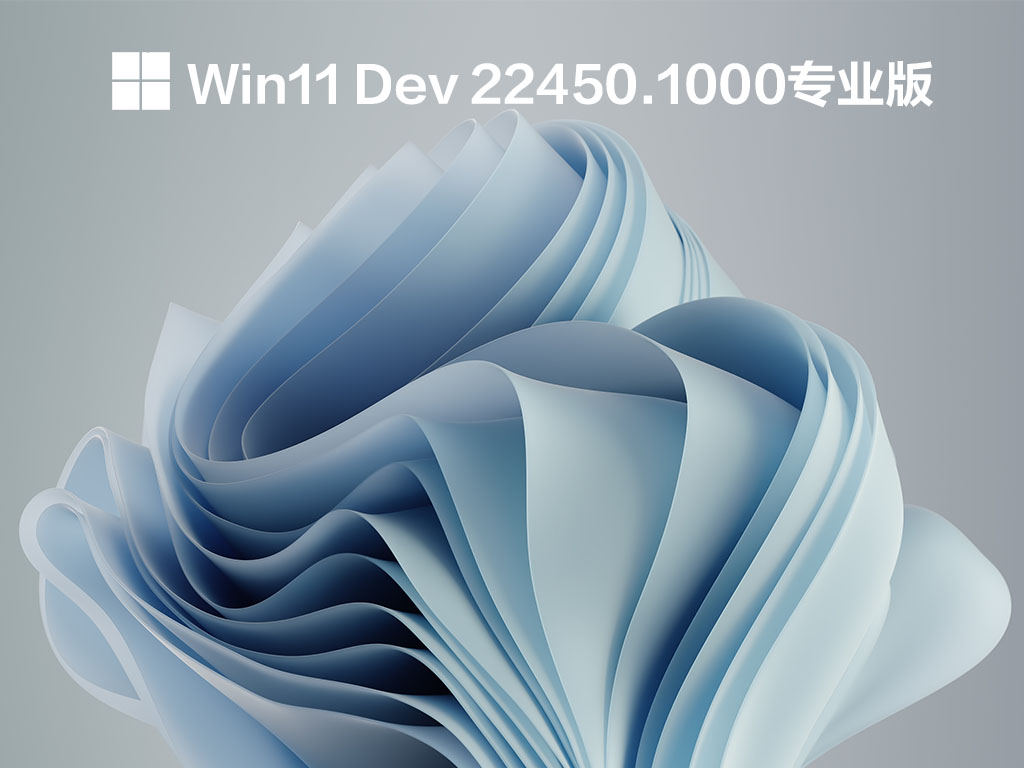Win11 Dev 22450.1000专业装机版 V2021.09