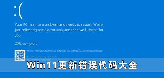 Win11更新错误代码大全 Win11升级失败出现错误代码汇总
