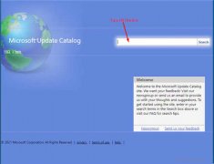 怎么修复Windows10中的0x0000011b错误？
