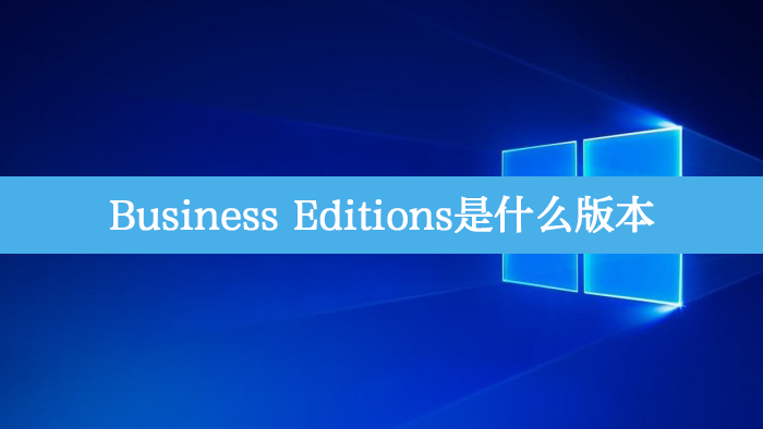 Business Editions是什么版本?