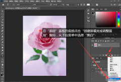 Ps如何进行图层调色？Ps图层调色的方法