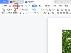 WPS怎么打印某一页？WPS如何打印其中的一页？