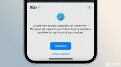 苹果iOS 16使用Passkeys进行无密码输入的方法