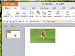 WPS演示怎么将图片形状进行更改教学
