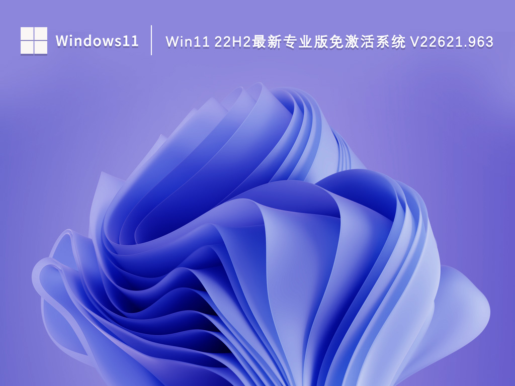 Win11 22h2最新专业版系统 V22621.963