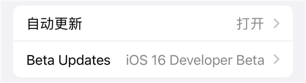 iOS 17测试版一年 688 块