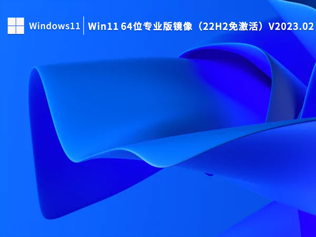 Win11 64位 专业版镜像22H2
