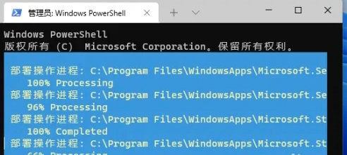Win10精简版有微软商店吗?Win10精简版