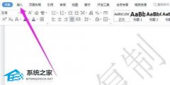 Wps文档水印删不掉怎么办？Wps文档水印怎么去除教学？