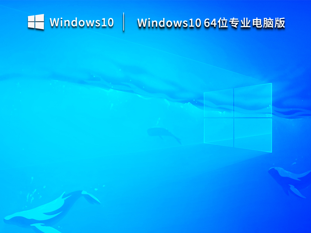 Windows10 64位专业电脑版 安装包 V2023