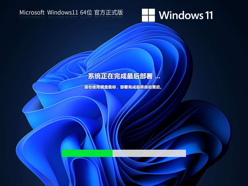 Windows11 64位 官方专业版 V2023