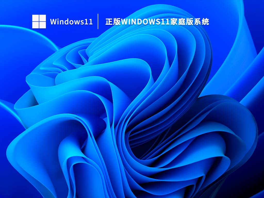 正版Windows11家庭版系统