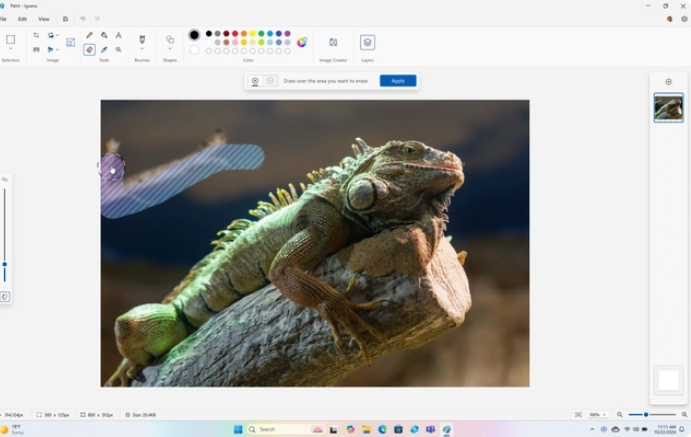 微软最新发布 Windows 11 24H2 正式版