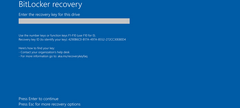 微软承认 4 月更新引发 BitLocker 故障，Win11 已修复