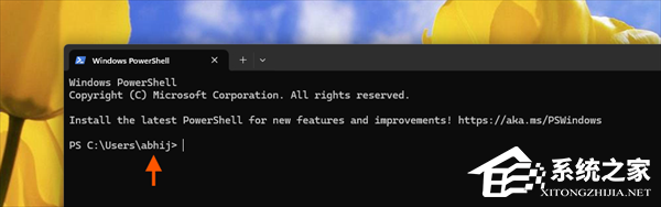 Win11 五月可选更新支持自定义用户文件