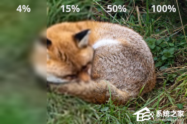 Firefox 157 将默认支持 JPEG‑XL